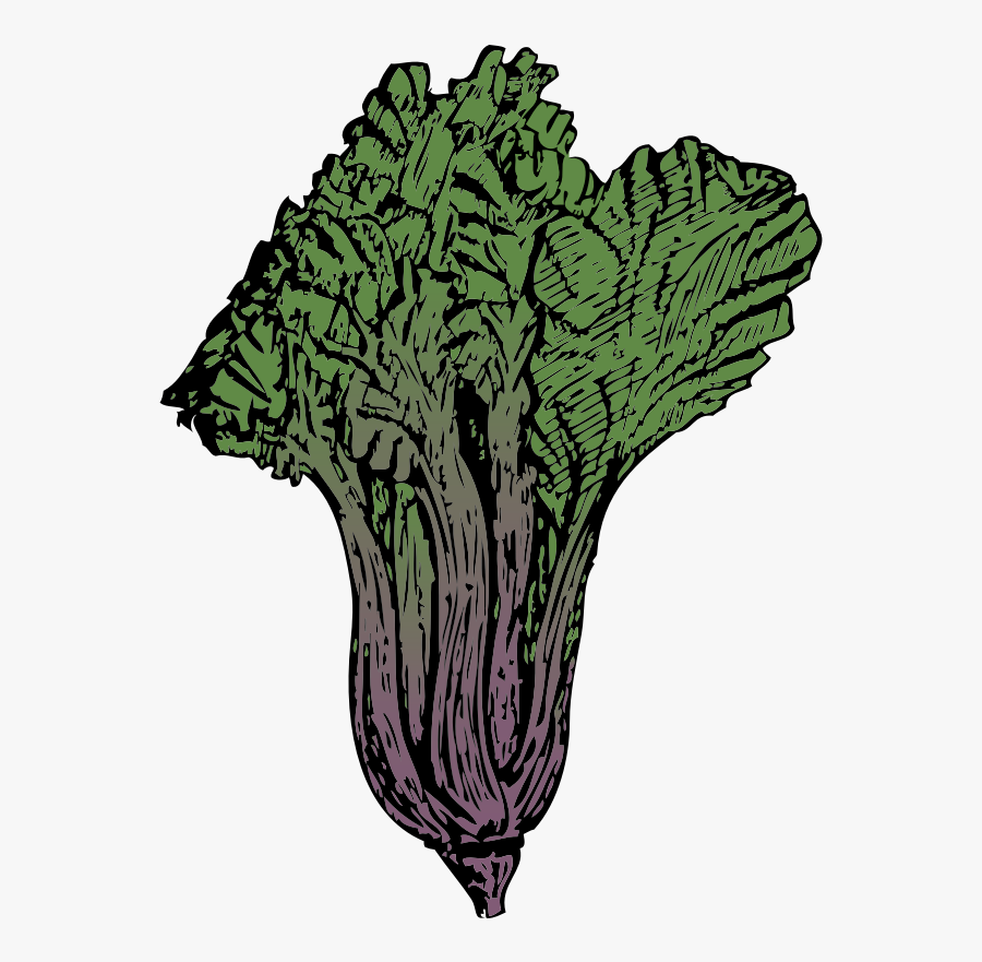 Clipart - Swiss Chard - Swiss Chard Transparent Background, Transparent Clipart