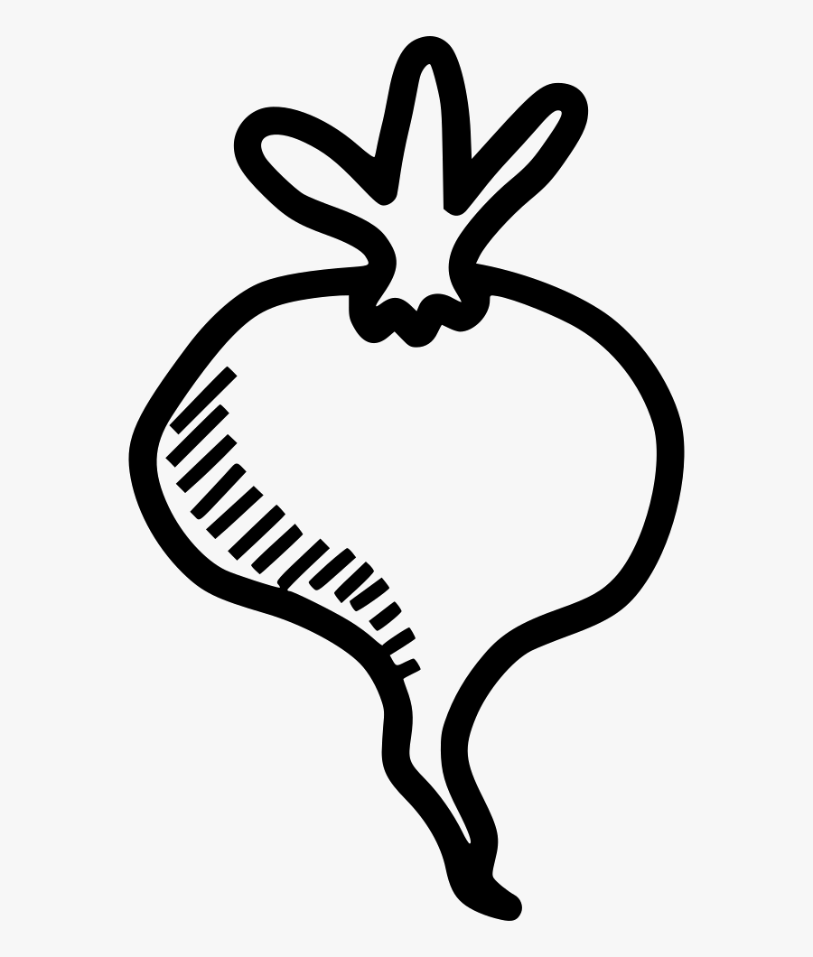Graphic Black And White Stock Beet Drawing Clip Art - Vegetables Png Icon Drawing, Transparent Clipart