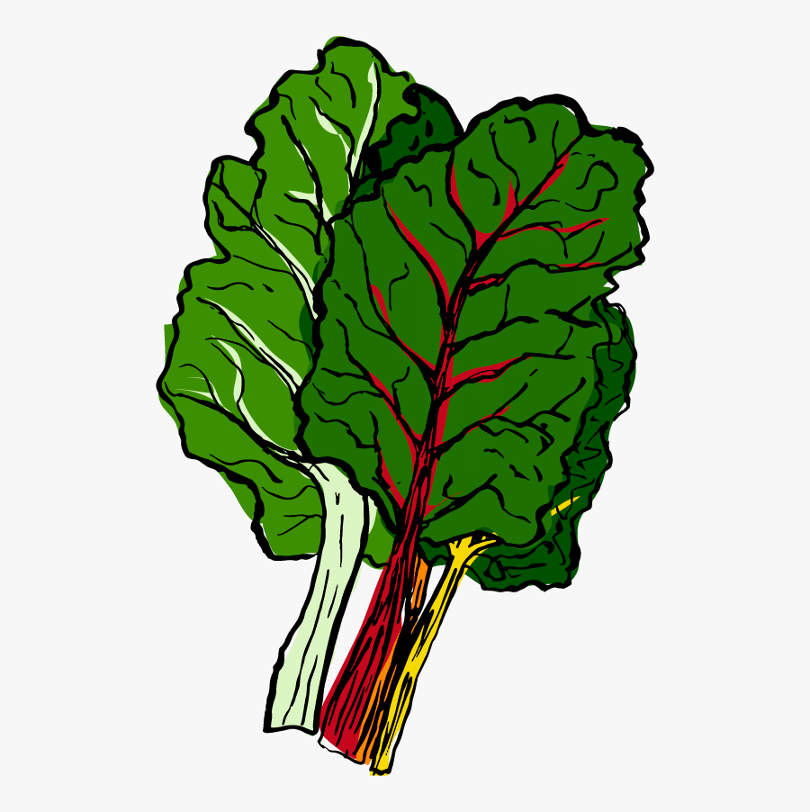 Chard Clipart, Transparent Clipart