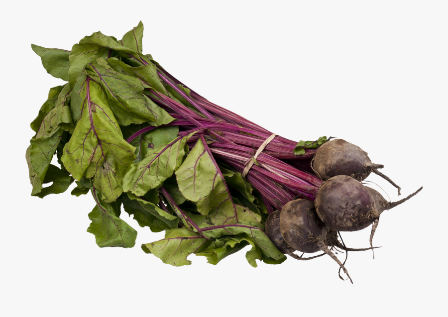 Beet Png - Sprouting Beets, Transparent Clipart