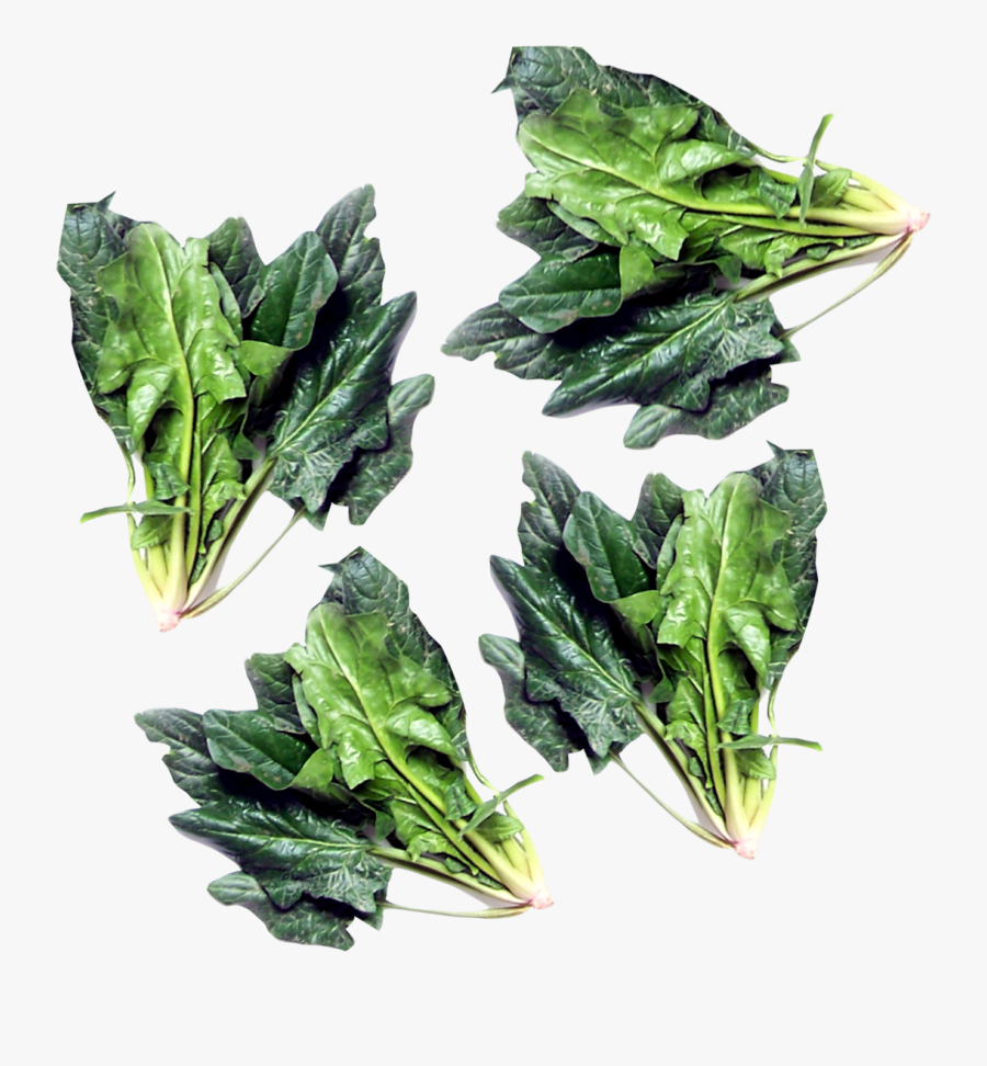 Spinach Clipart Green Food - Spinach, Transparent Clipart