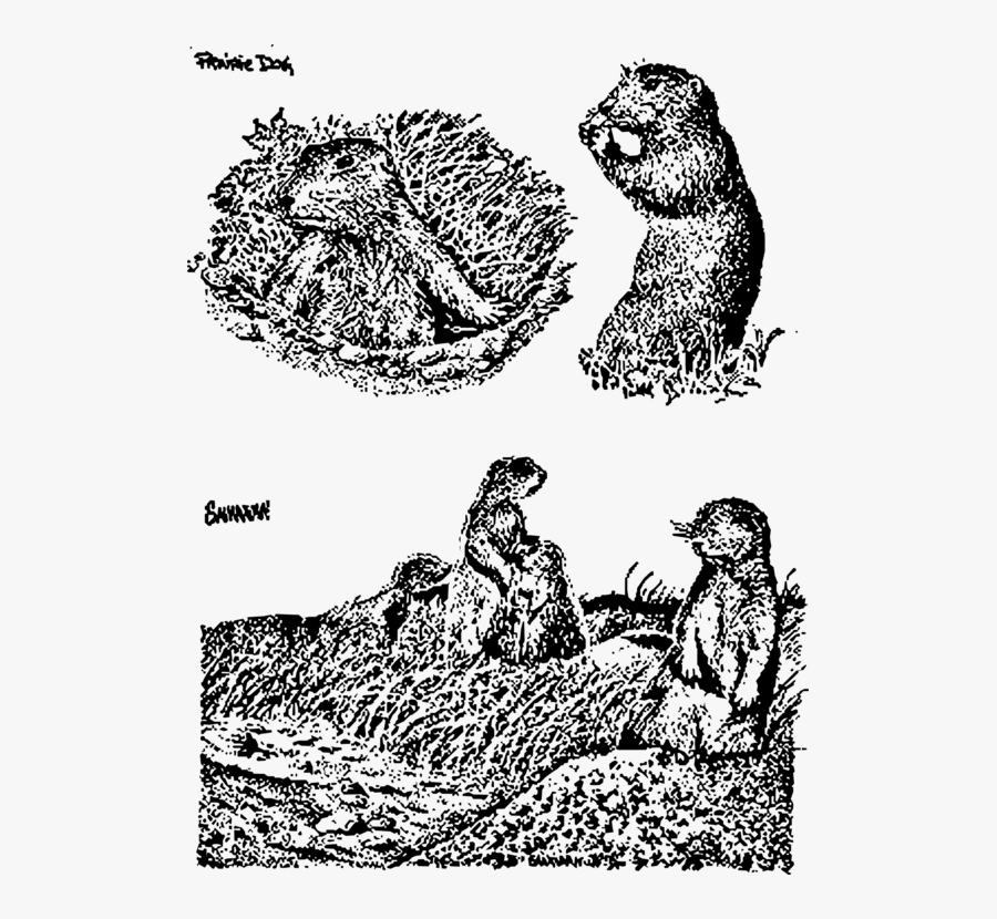 Art,monochrome Photography,text - Illustration, Transparent Clipart