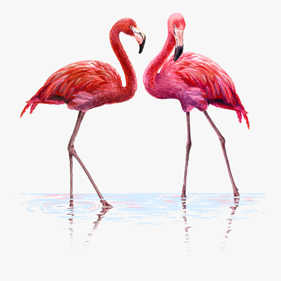 Transparent Flamingo Clipart - Flamingo Png, Transparent Clipart