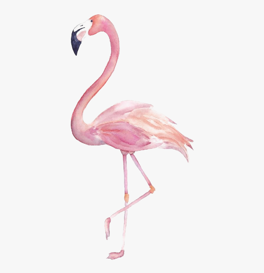 Flamingo Png Image Transparent - Watercolor Flamingo Clipart, Transparent Clipart
