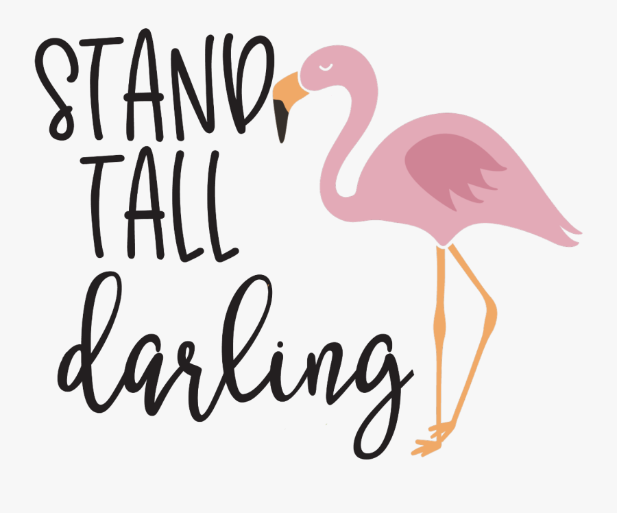 Freetoedit Ftestickers Flamingo Quotes & Sayings Summer - Duck, Transparent Clipart