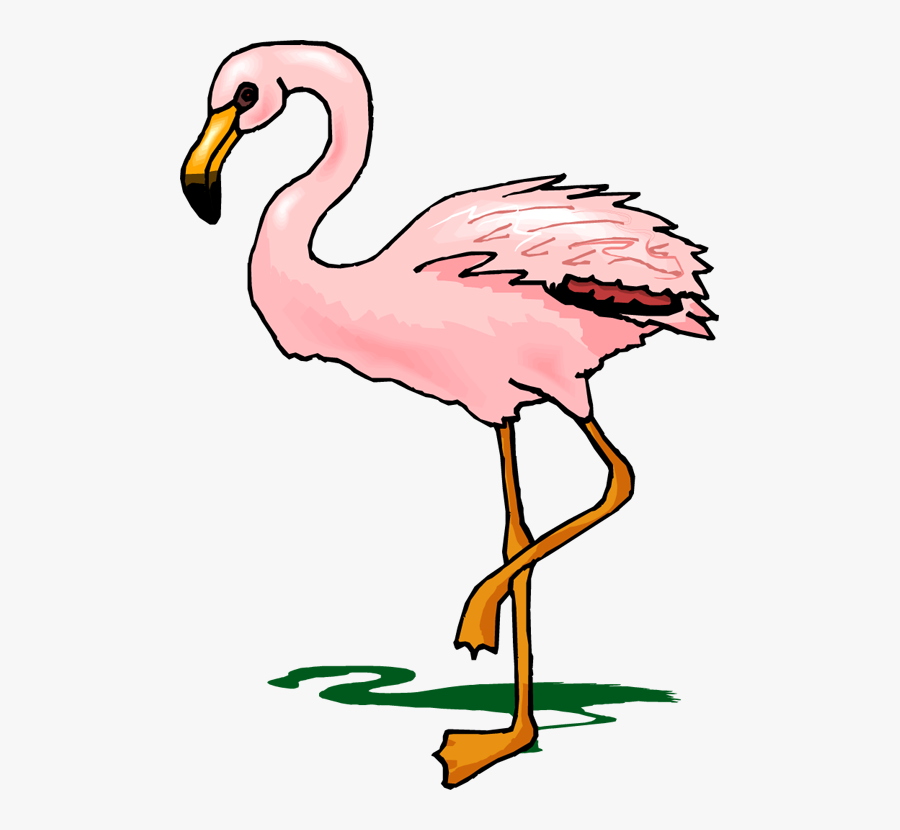 Top 84 Flamingo Clipart - Flamingos Cliparts, Transparent Clipart