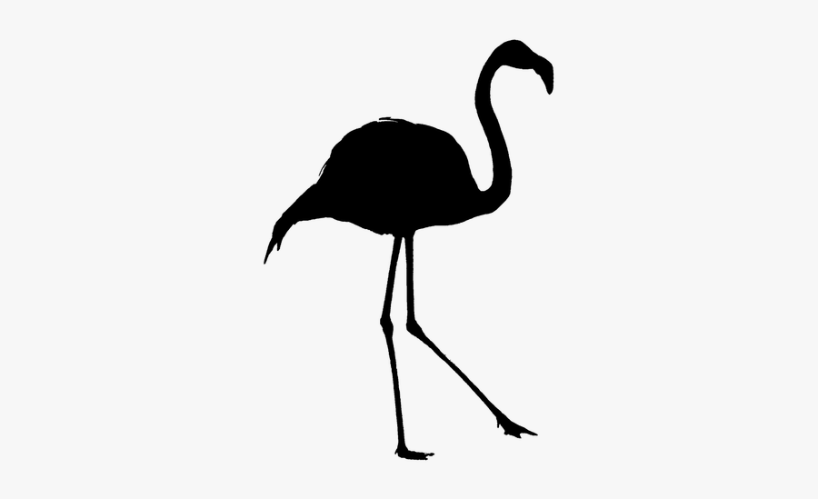 Silhouette Flamingo Outline - Silueta Flamenco, Transparent Clipart