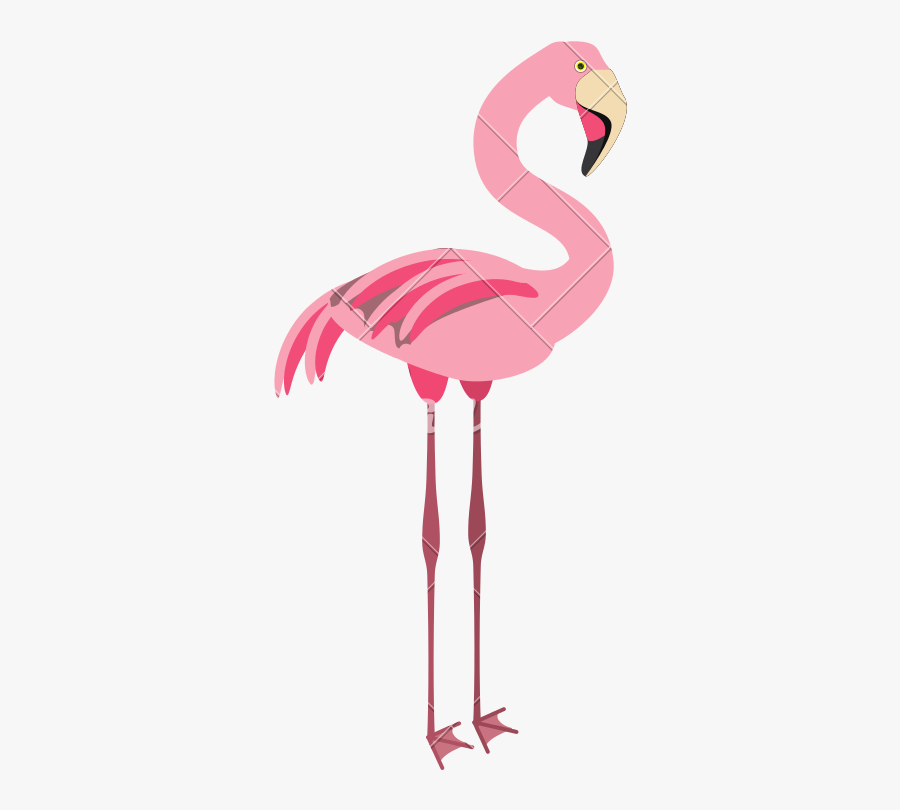 Clip Art Cute Flamingo - Greater Flamingo, Transparent Clipart