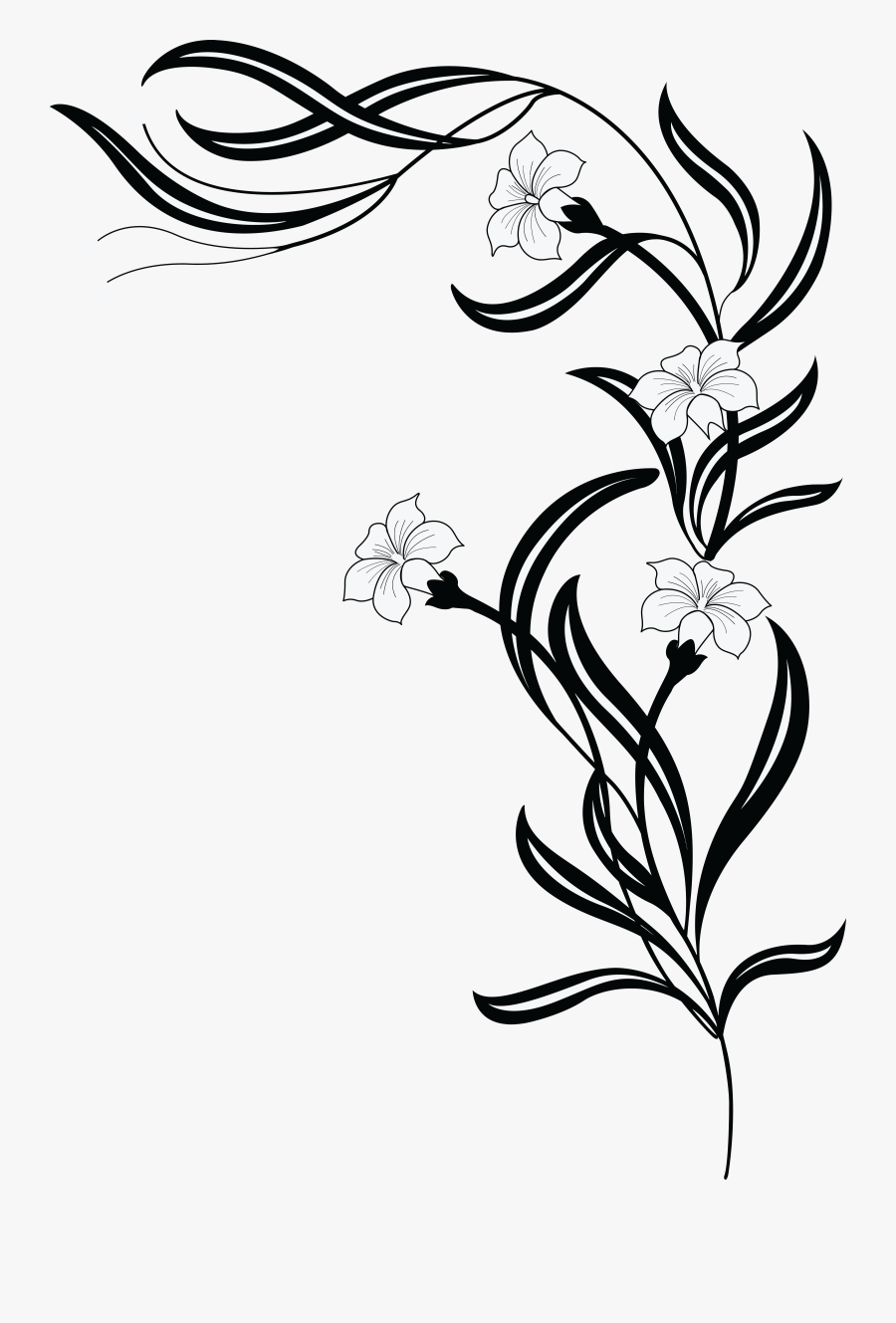 Floral Design With Flowers Leaves And Buds On Vines - Flower Png Black And White, Transparent Clipart