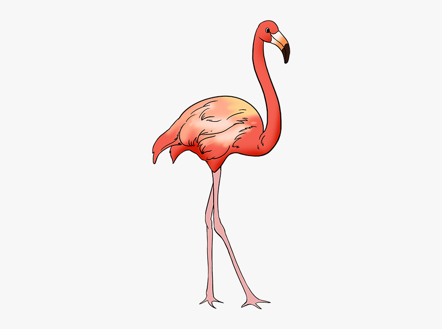 How To Draw Flamingo - Flamingo Drawing Easy, Transparent Clipart