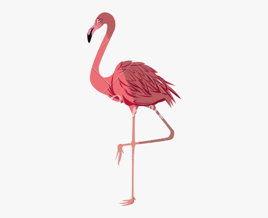 Pink Flamingo Vector - Flamingo Vector , Free Transparent Clipart