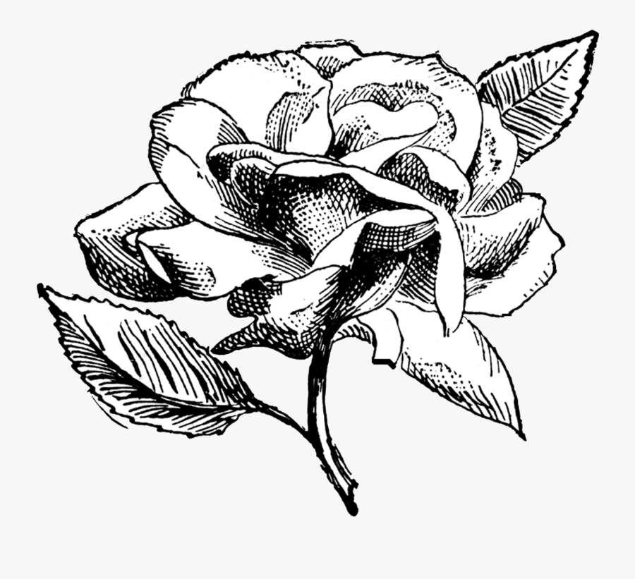 My Image 25