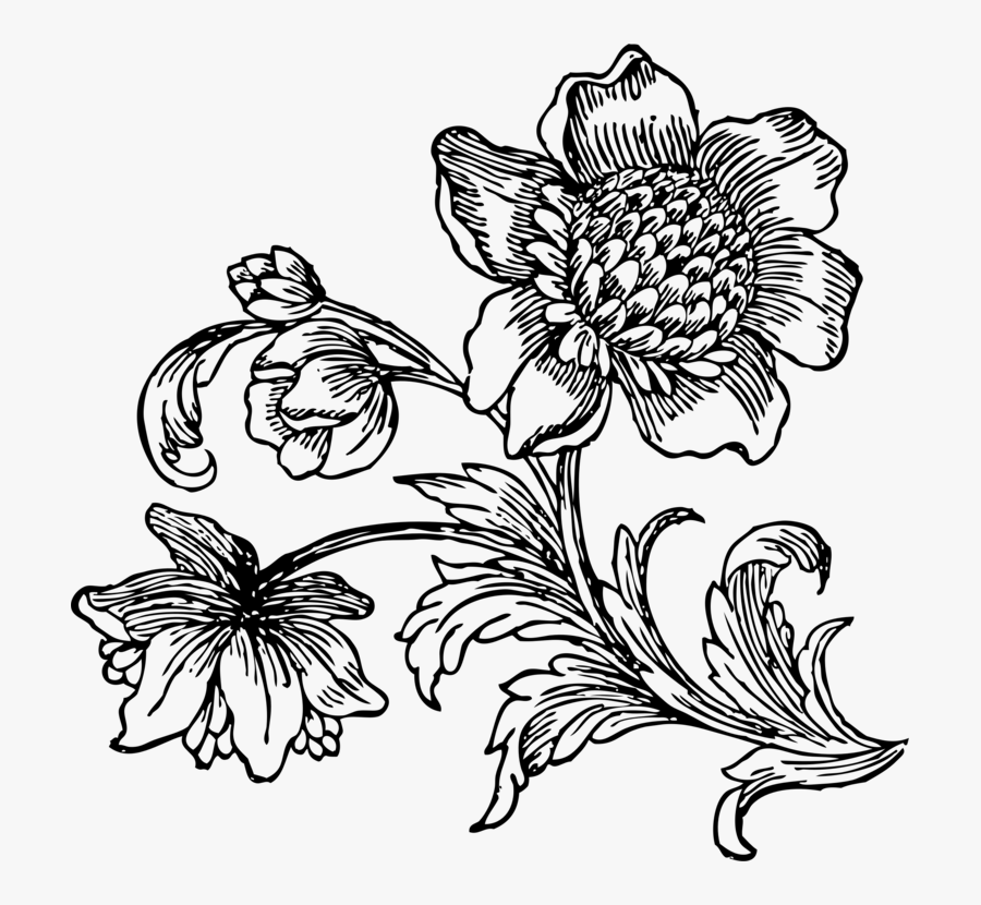 Transparent Favorites Clipart - Black And White Flower Drawing Png ...