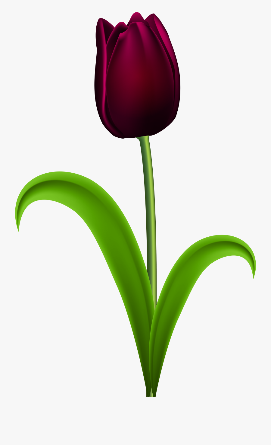 Png Free Download Flower At Getdrawings Com - Purple Tulips Flowers Clipart, Transparent Clipart
