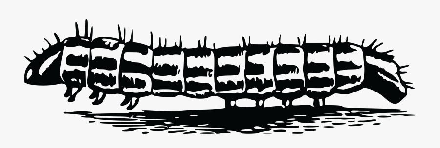 Caterpillar Png - Desenho De Uma Lagarta, Transparent Clipart