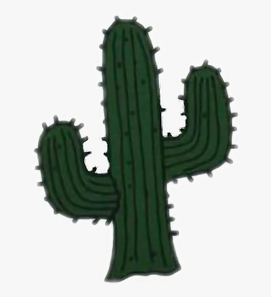 Cactus Clipart San Pedro - Green Cactus Tumblr Png, Transparent Clipart