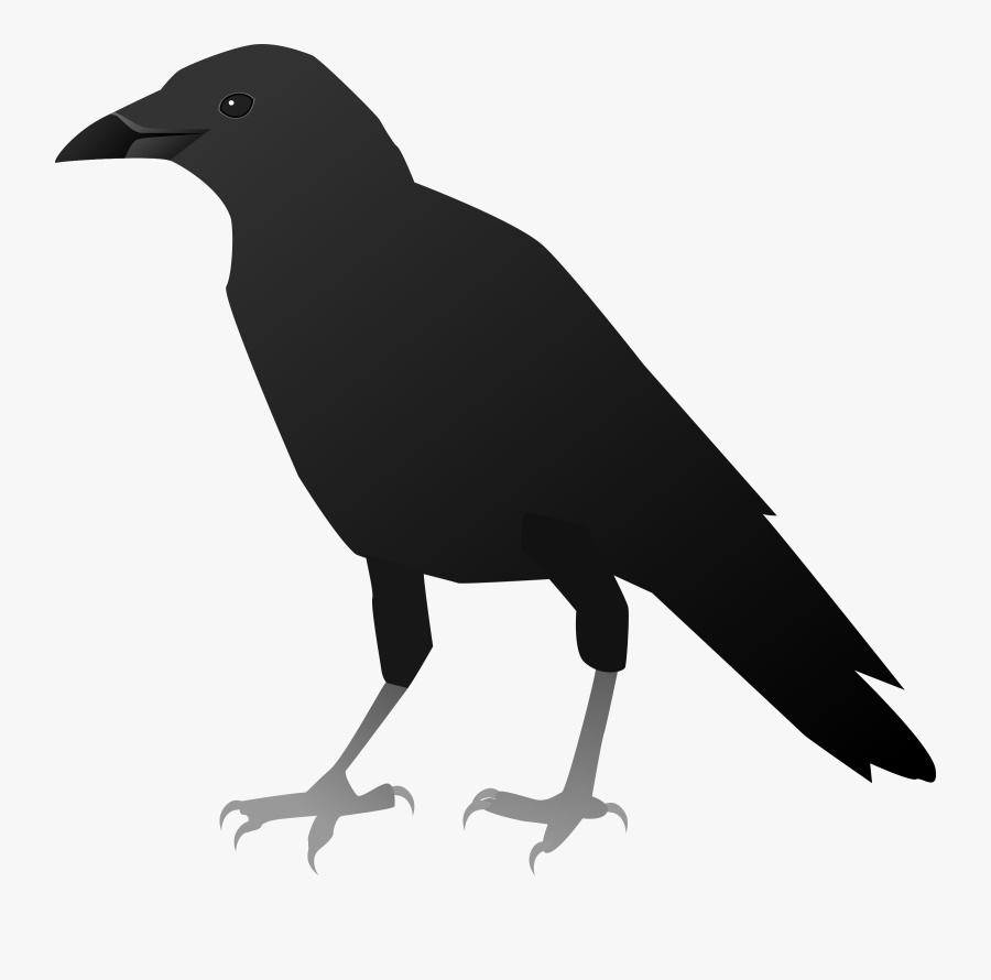 Crow Clipart Crow Beak - Clipart Of Crow, Transparent Clipart