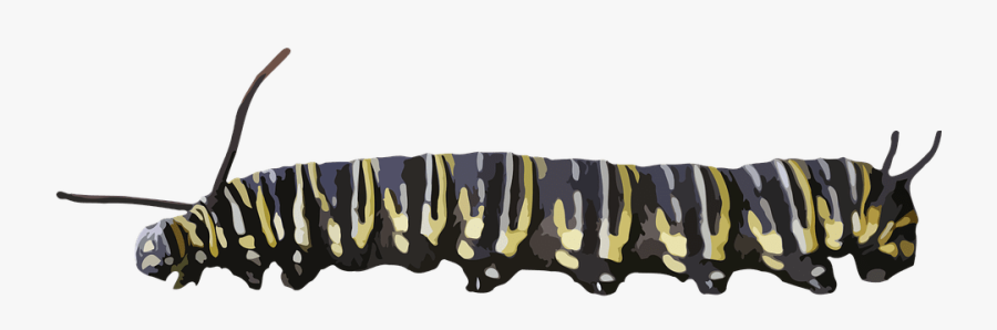 Caterpillar Yellow Black - Caterpillar Transparent Background, Transparent Clipart