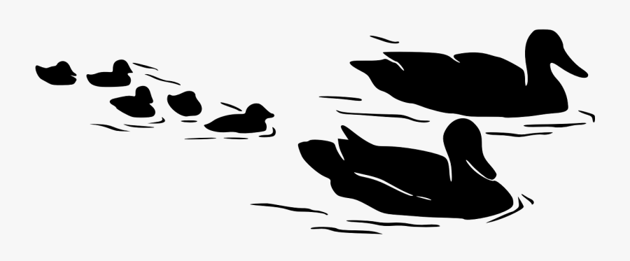 #ducks #silhouette #swimming #ducklings 🦆🐥 #freetoedit - Duck On Water Silhouette, Transparent Clipart