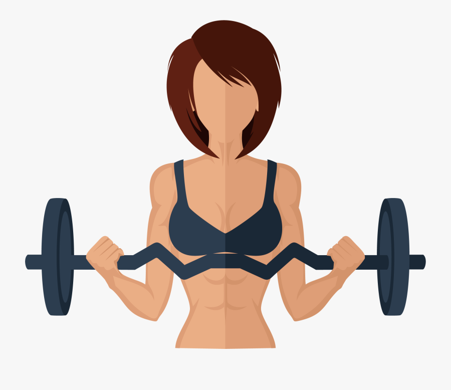 Physical Exercise Physical Fitness Weight Training - Exercise, Transparent Clipart