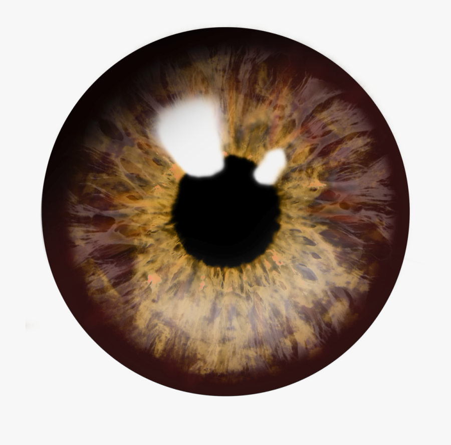 Brown Eyes Transparent Background - Transparent Background Eye Iris Png, Transparent Clipart