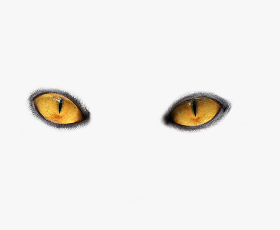 Transparent Brown Eye Clipart - Eyes Transparent Background Png, Transparent Clipart