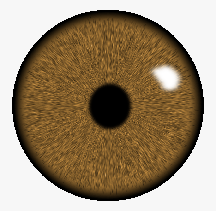 Transparent Brown Eye Clipart - Png Eyes Lens Download, Transparent Clipart