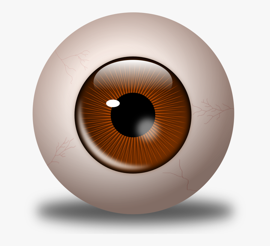 Eyeball Clipart Occipital Lobe - Olho Castanho Png, Transparent Clipart