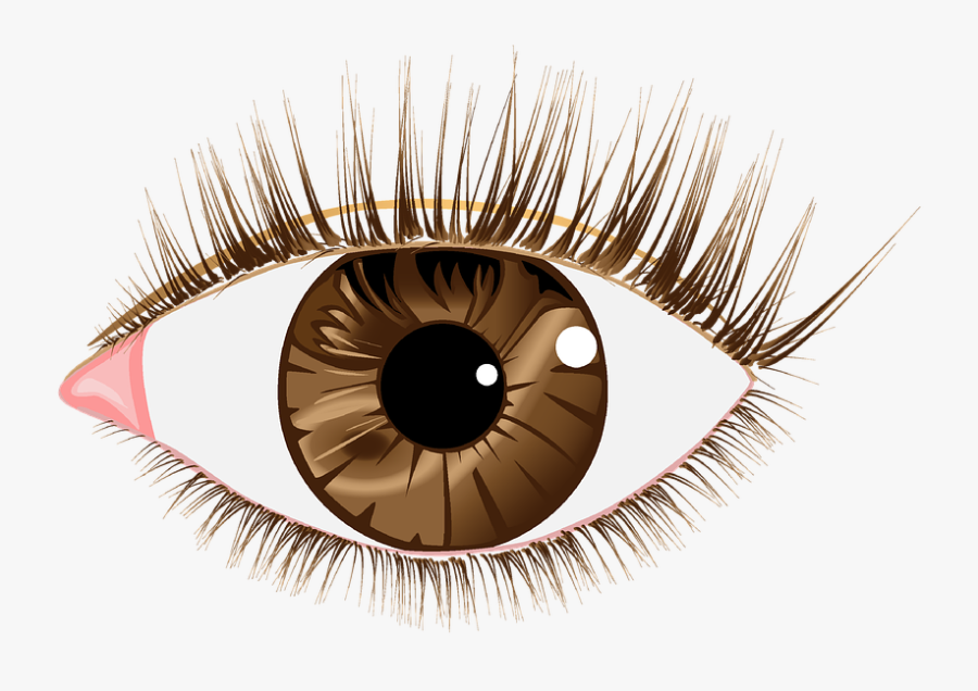 Eye Lashes Images - Transparent Background Eye Png, Transparent Clipart