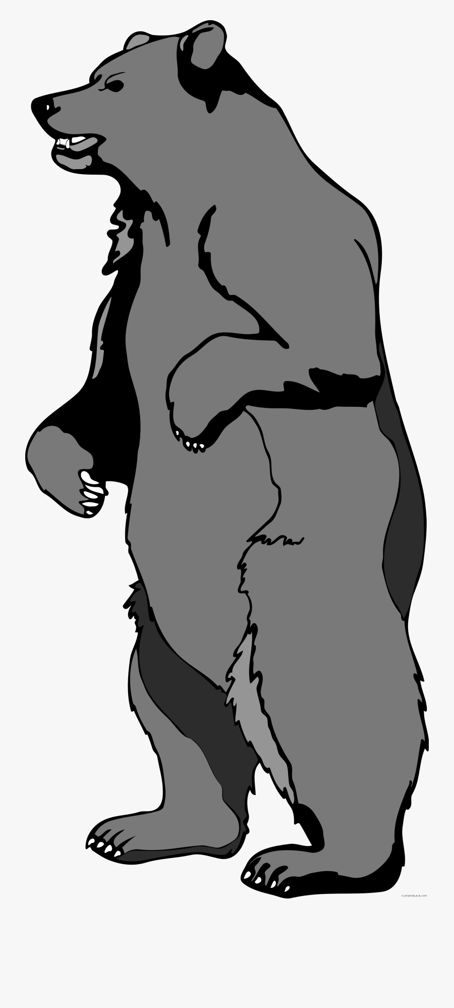 Standing Bear Clipart - Cartoon Bear Standing Up, Transparent Clipart
