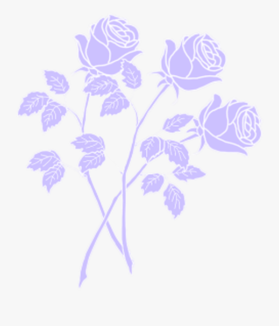 Rose Aesthetic Transparent Background, Transparent Clipart