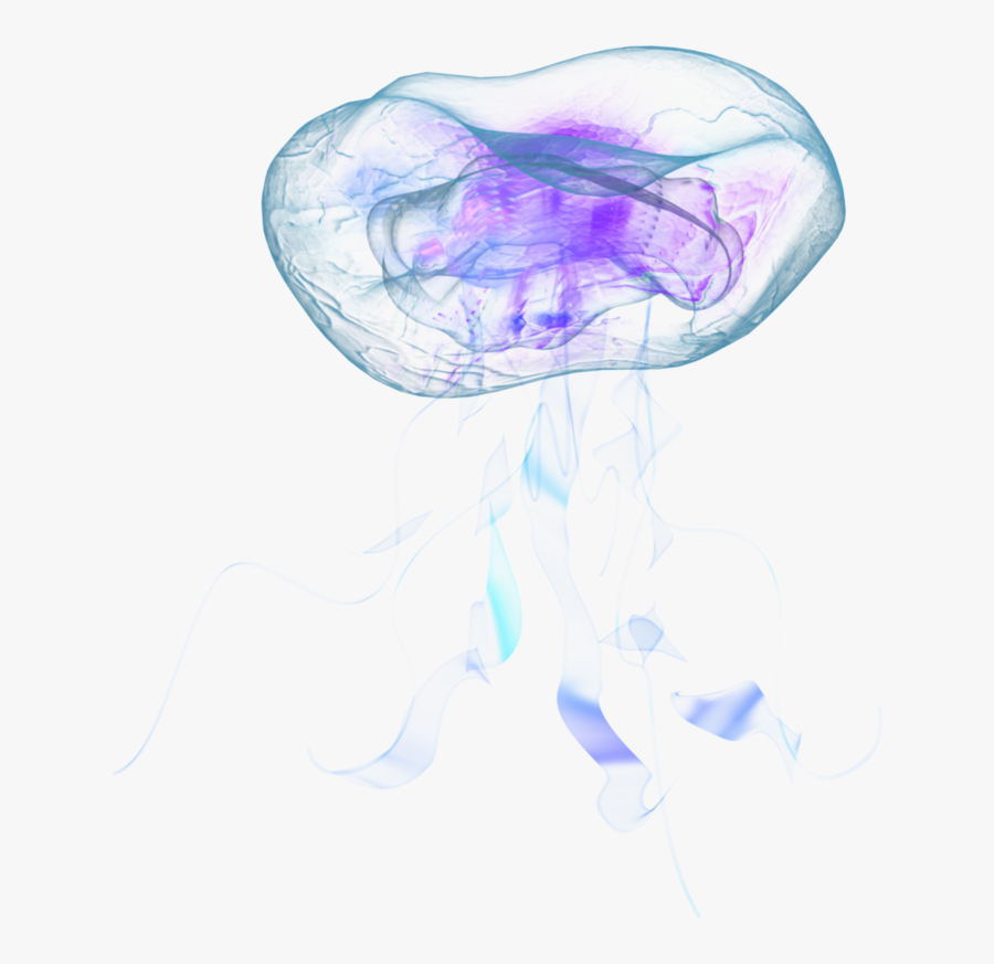 19 Jellyfish Banner Stock Objects Huge Freebie Download - Moon Jellyfish Png, Transparent Clipart
