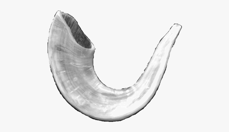 Drawing, Transparent Clipart