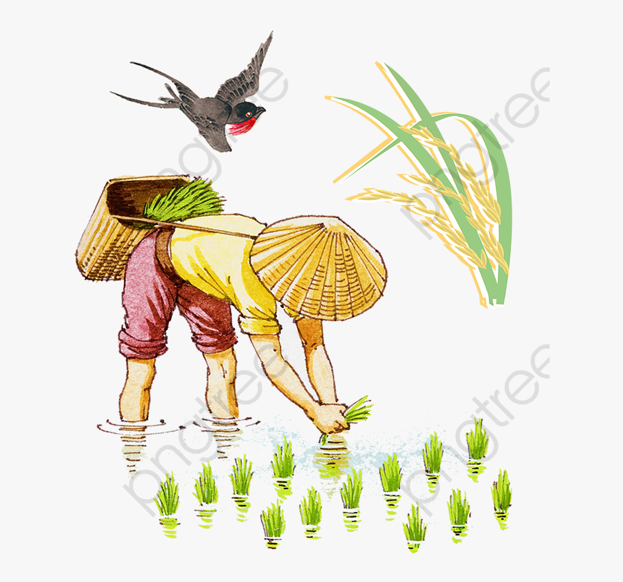 Farmer A Cultivation Transparent - Mensagens De Meio Ambiente, Transparent Clipart