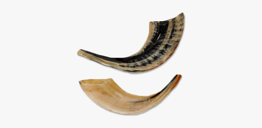 Horn,musical Instrument,shofar,wind Instrument - Shofar Transparency, Transparent Clipart