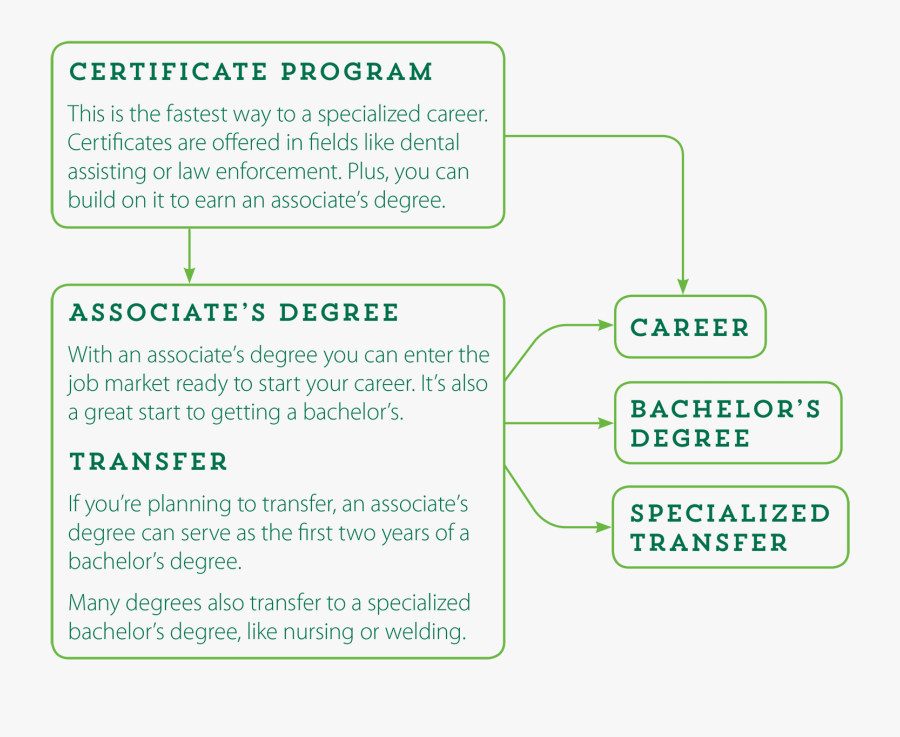 Transparent Bachelor"s Degree Clipart - Carlotta Polanco, Transparent Clipart