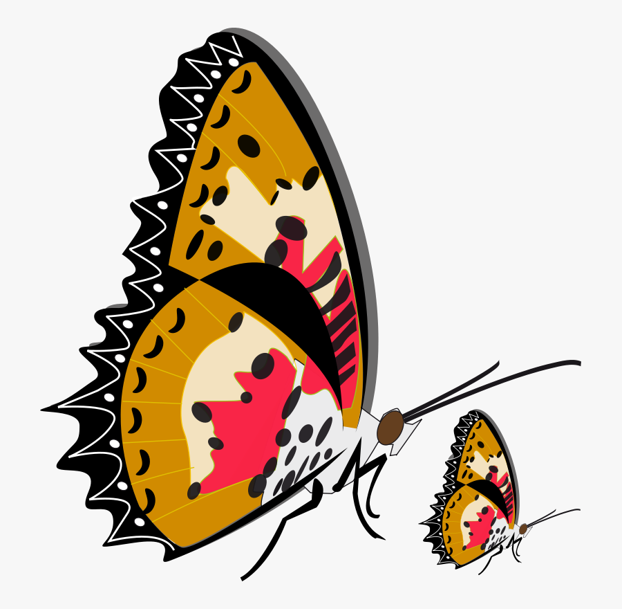 Mother And Baby Butterfly, Transparent Clipart