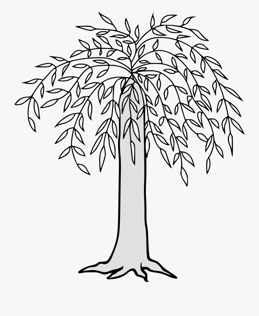 Clip Art Twig Portable Network Graphics Image Tree - Portable Network Graphics, Transparent Clipart