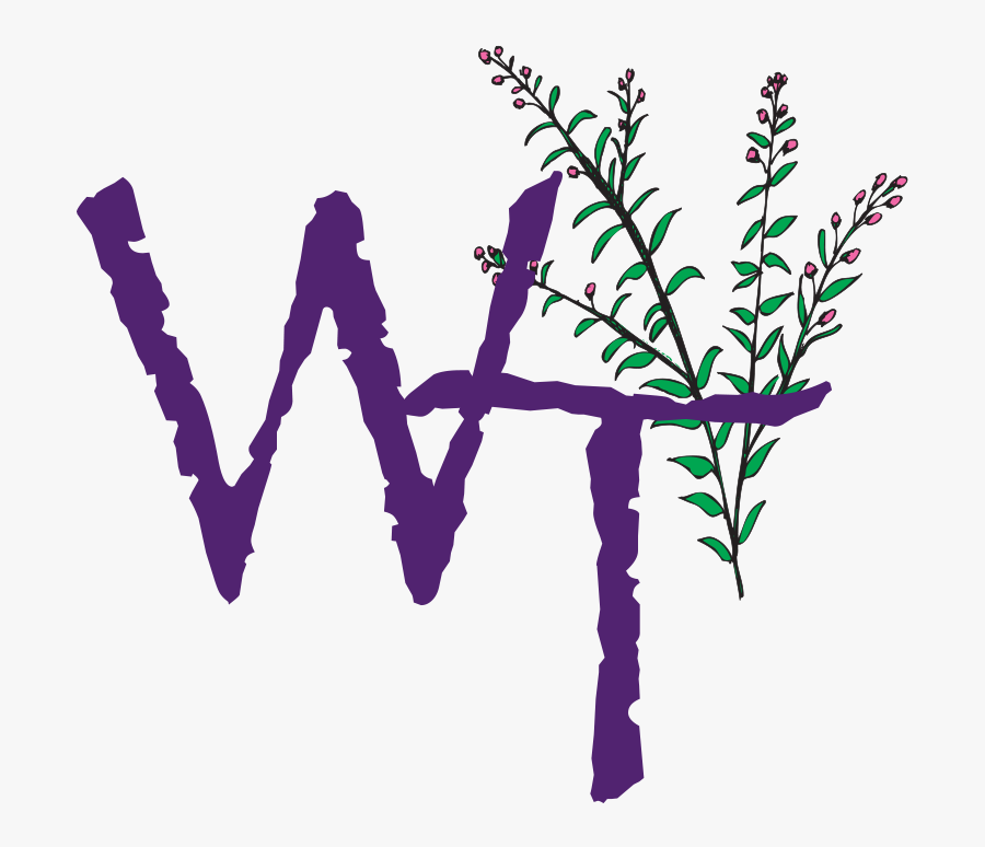 Willow Tree Clipart , Png Download - Willow Tree, Transparent Clipart