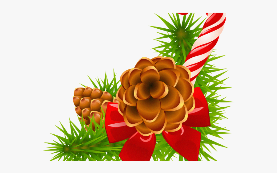 Christmas Pine Cones Clip Art, Transparent Clipart