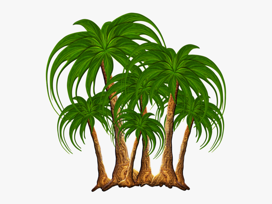 Tree Nature Palm Tree Png, Transparent Clipart