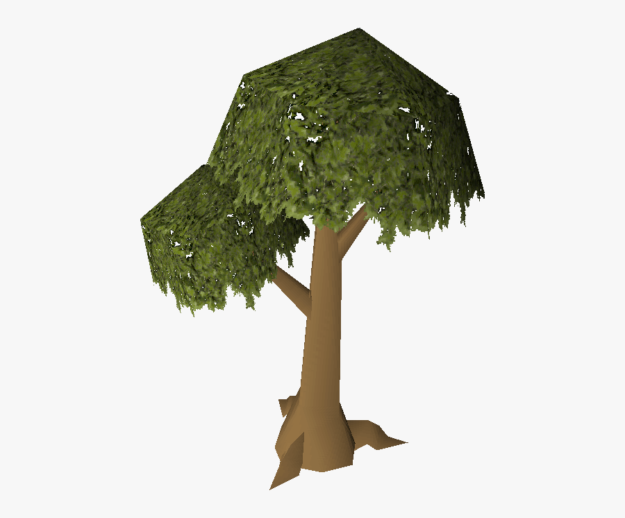 Clip Art Old School Wiki Fandom - Old School Runescape Tree, Transparent Clipart