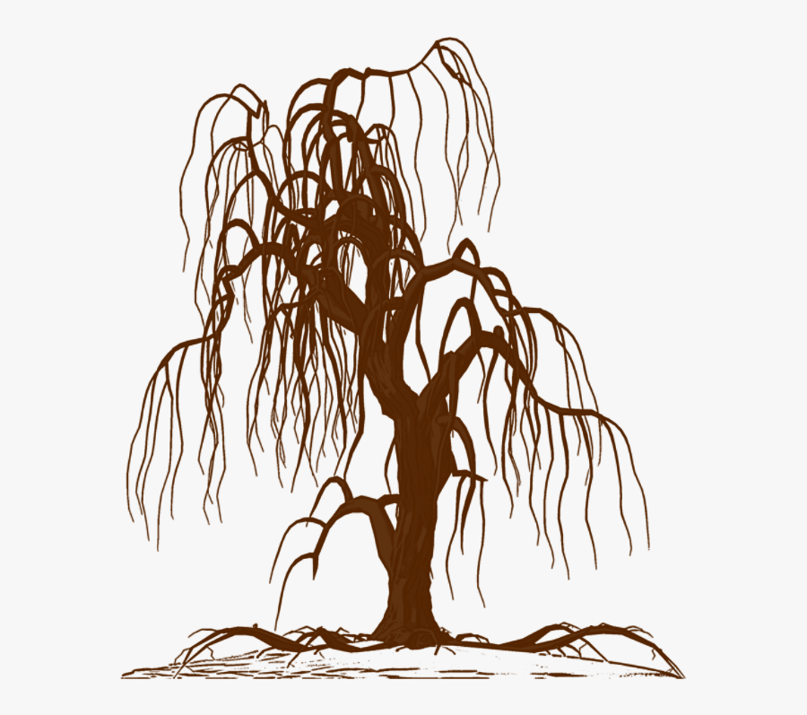 Wall Decal Weeping Willow Tree Drawing Silhouette - Man On Cliff Edge, Transparent Clipart