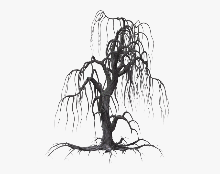 Tree Drawing Willow Clip Art - Creepy Tree Green Screen, Transparent Clipart