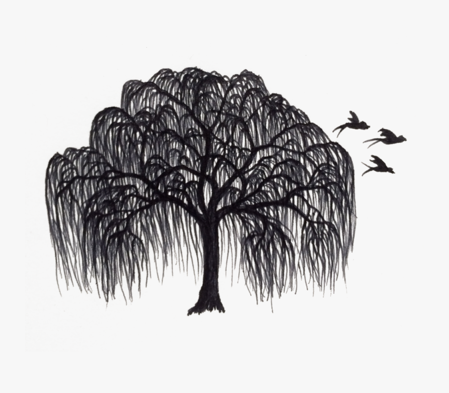Transparent Joshua Tree Clipart - Willow Tree Clipart Black And White, Transparent Clipart
