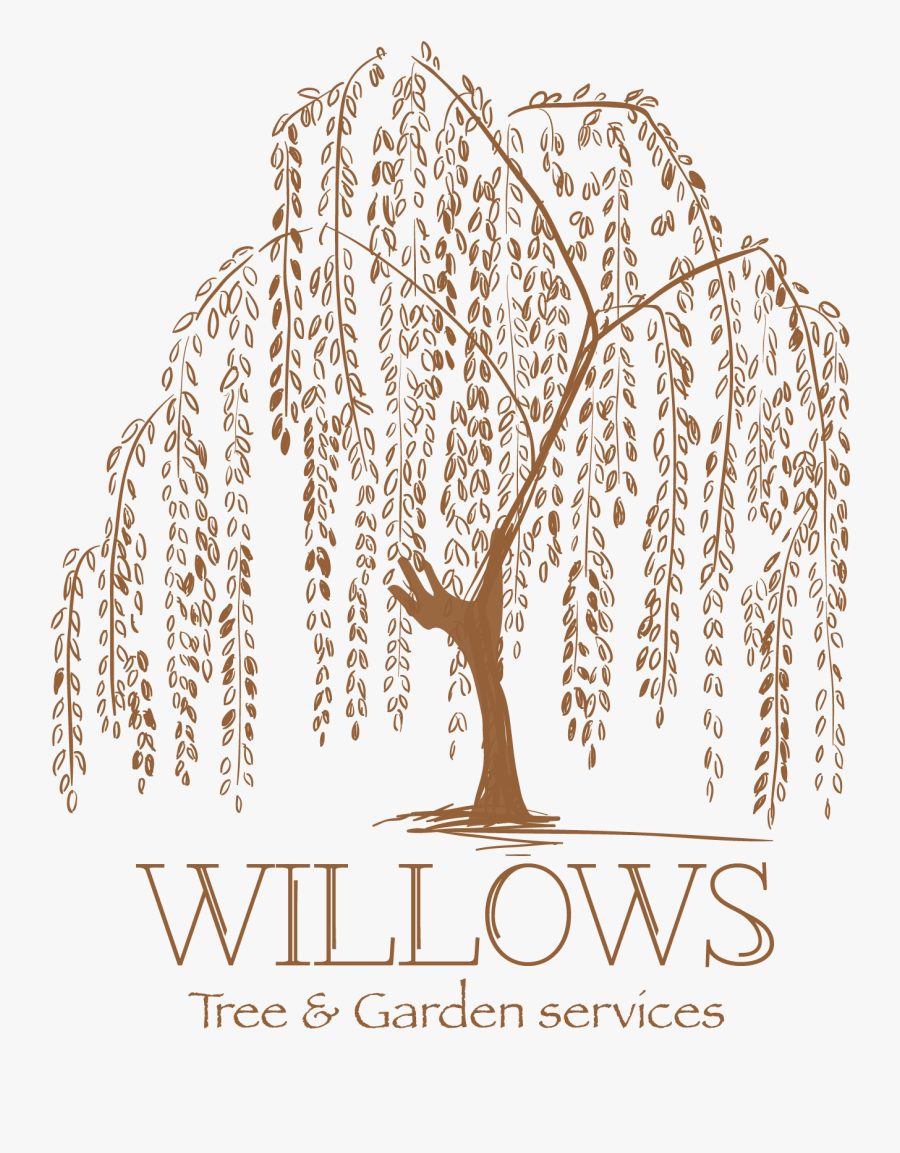 Weeping Tattoo Artist Tree Transprent Png Free - Weeping Willow Tree Logo, Transparent Clipart