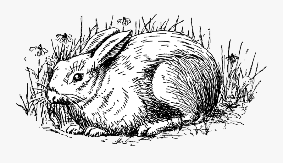 Vintage Easter Clip Art Black And White, Transparent Clipart