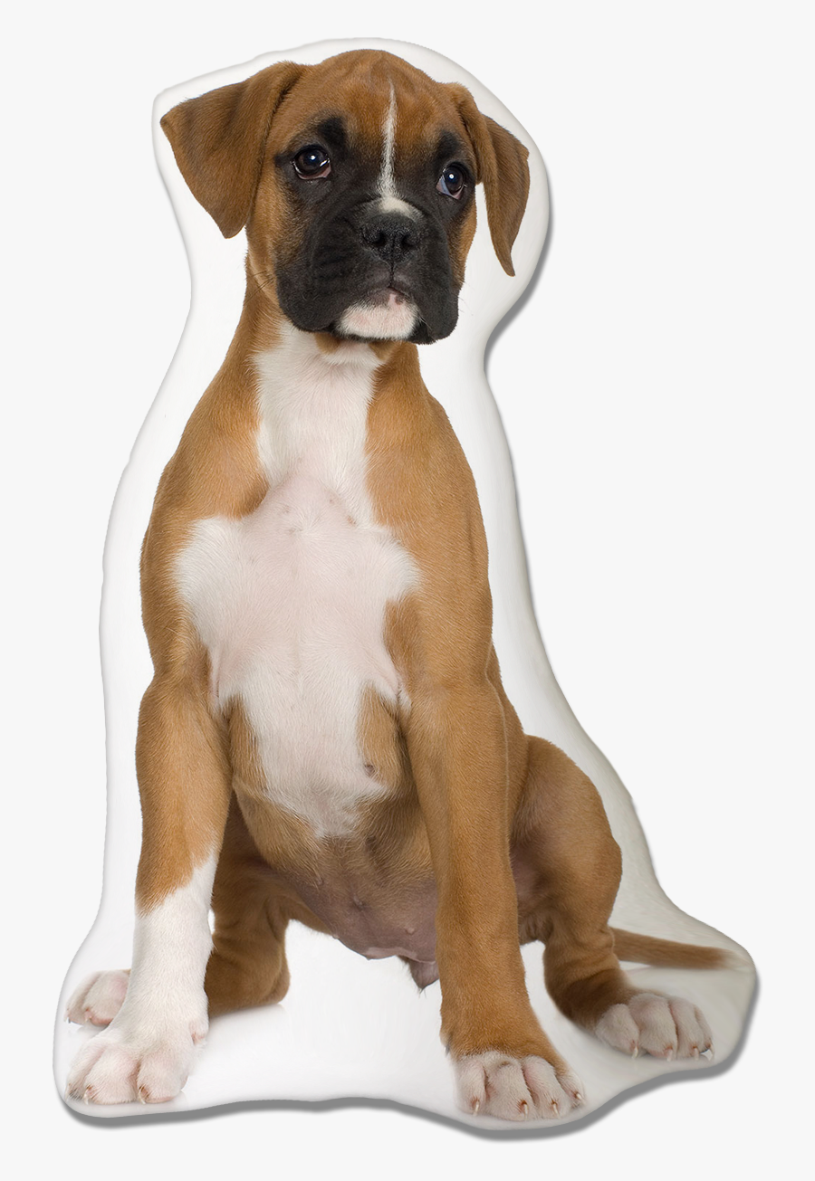 Clip Art Boxer Dog Images - Boxer Birthday, Transparent Clipart