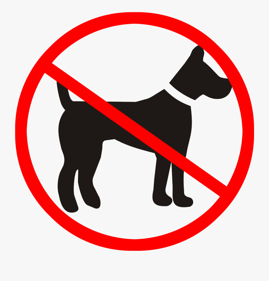 Labrador Retriever Boxer Pet Sitting Veterinarian Clip - Dog Water Signs, Transparent Clipart