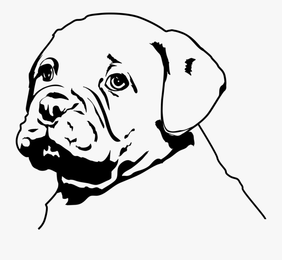 Line Art,carnivore,guard Dog - Olde English Bulldogge, Transparent Clipart